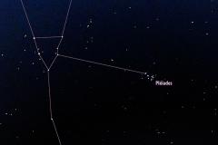 Constellation du Taureau avec les Pléiades