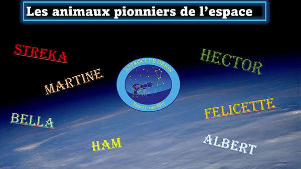 Les nouvelles du ciel et les animaux pionniers de l’espace